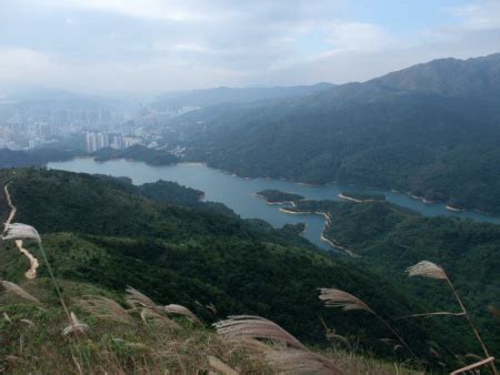 城門水塘|打卡美景